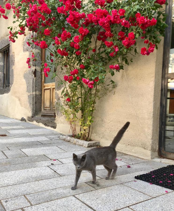 La Maison - Hotel & Gite Laguiole Εξωτερικό φωτογραφία